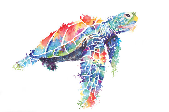 Illustration sea turtle painted with watercolors.The image of sea creatures swimming underwater world..Amphibian reptiles painted with brushes and isolated on a white background.