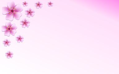 pink background with flowers