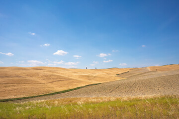 Fototapeta na wymiar Tuscany, summer landscape, golden fields. Italy