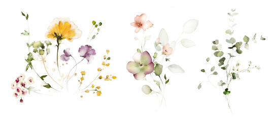 Set watercolor arrangements with garden flowers. bouquets with pink, yellow wildflowers, leaves, branches. Botanic illustration isolated on white background. - obrazy, fototapety, plakaty