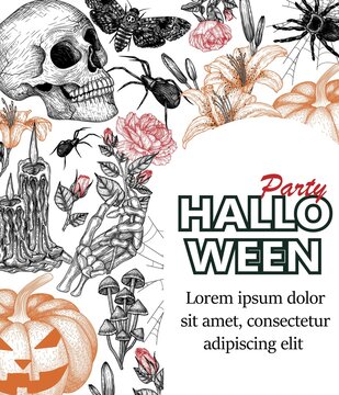 Vector illustration of halloween invitation template in engraving style. Graphic skull, carved pumpkin, flowers, skeletal hand, moth, tarantula spider, cobweb, candles