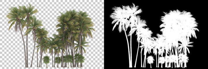 Fototapeta na wymiar Tropical foliage isolated on background with mask. 3d rendering - illustration