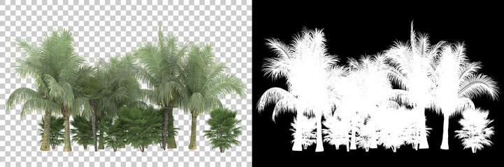 Fototapeta na wymiar Palm trees isolated on background with mask. 3d rendering - illustration