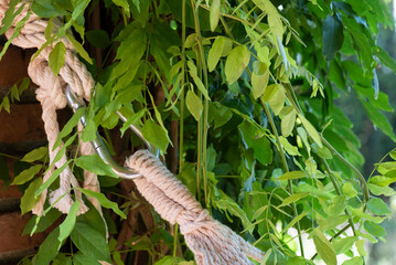 Mosquetón de gancho para hamaca de macrame con planta trepadora