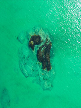 Top-down reef