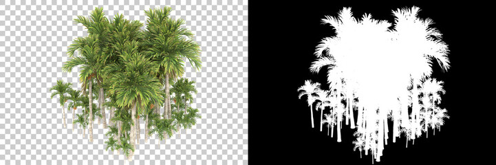 Tropical trees isolated on background with mask. 3d rendering - illustration