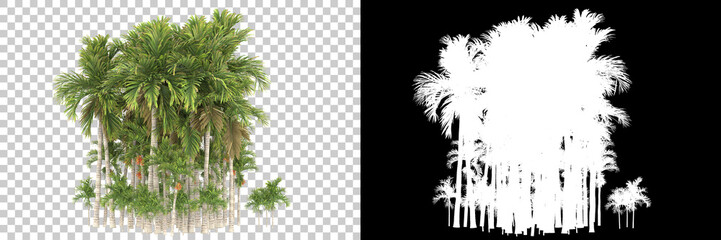 Tropical trees isolated on background with mask. 3d rendering - illustration