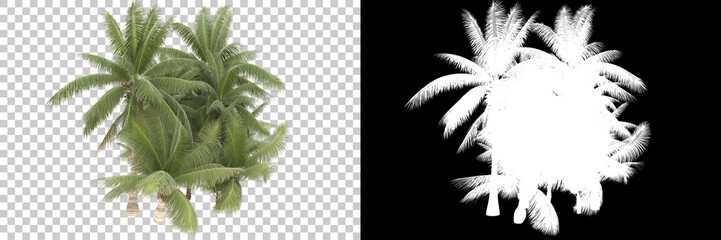 Tropical jungle isolated on background with mask. 3d rendering - illustration