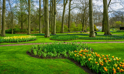 Naklejka na ściany i meble Colorful tulips and lush green garden in Keukenhof, Netherlands