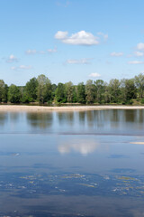 Loire river bank along the birds island in Centre-Val-de-Loire region