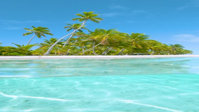 SLOW MOTION HALF UNDERWATER VERTICAL: Spectacular jewel colored water and the untouched white sand tropical beach under sunny sky. Idyllic exotic island in the Pacific is surrounded by turquoise water