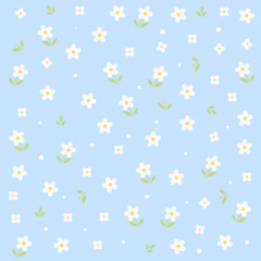 	
Chamomile flowers pattern background nature wrapping paper or textile design