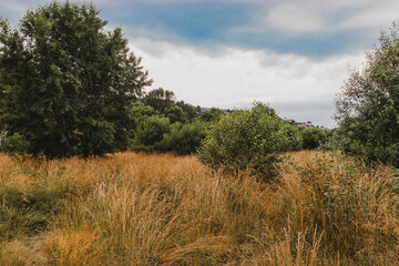 An empty rural path through a field with dry grass. The road through the field on a sunny summer day. Beautiful rural landscape under a dark cloudy sky. Summer landscape.