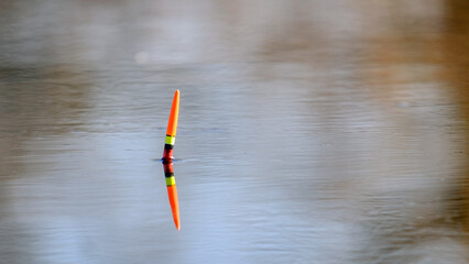 Fishing float on the surface of the water © Denis Shitikoff