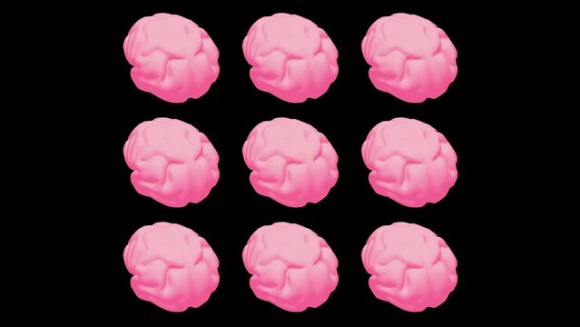 Human brain Anatomical Model. Motion Animation. Video available in 4K FullHD and HD render footage