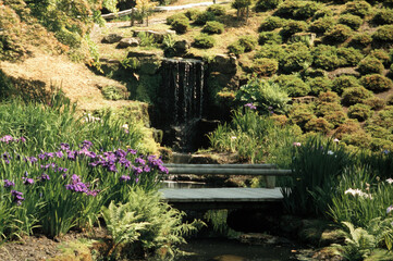 waterfall with bridge