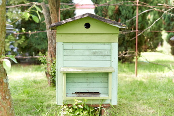 One artificial hive of bees on a garden