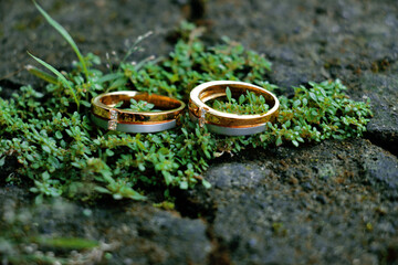 Two rings engagement on the moss