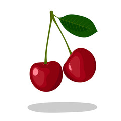 two red berry cherry with leaf. Vector illustration