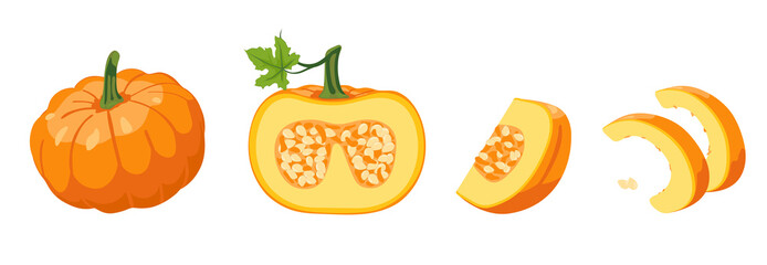 Vector set of orange pumpkins isolated on a white horizontal background