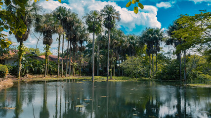 Obraz premium reflejos