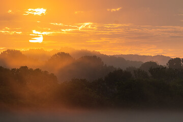 Foggy Tennessee Sunrise