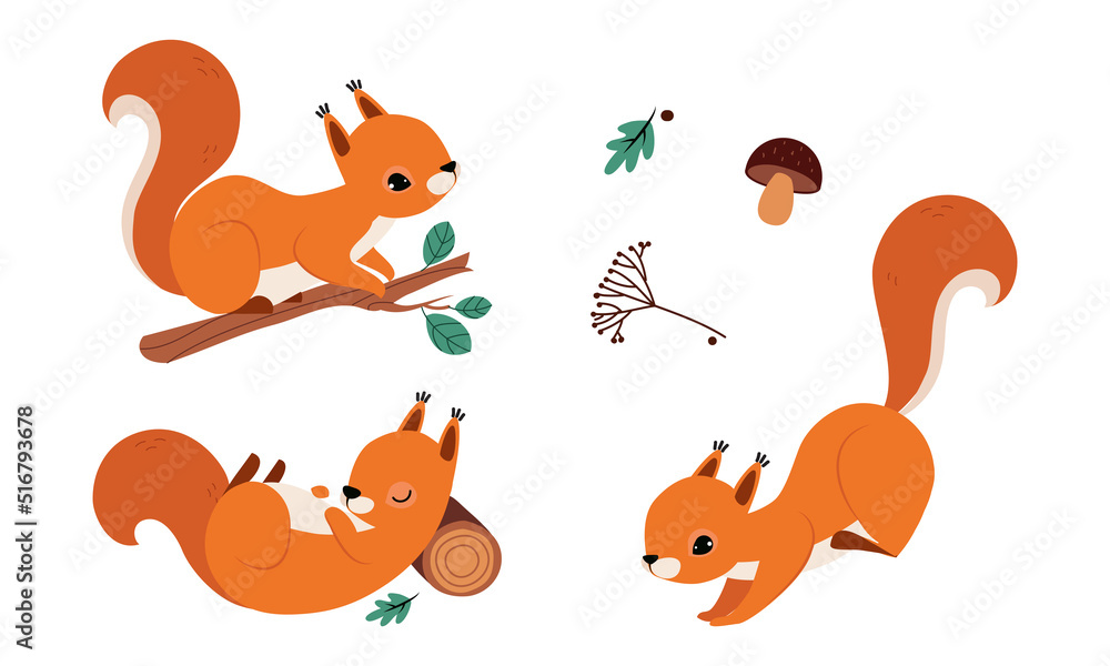 Sticker Red Fluffy Squirrel with Bushy Tail Sitting on Tree Branch and Jumping Vector Set