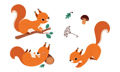 Red Fluffy Squirrel with Bushy Tail Sitting on Tree Branch and Jumping Vector Set
