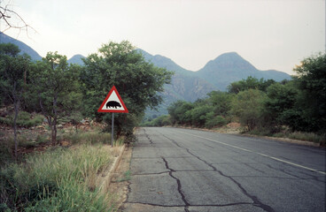 hippopotamus crossing