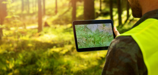 man working with topographic map data on digital tablet in forest. banner with copy space - obrazy, fototapety, plakaty