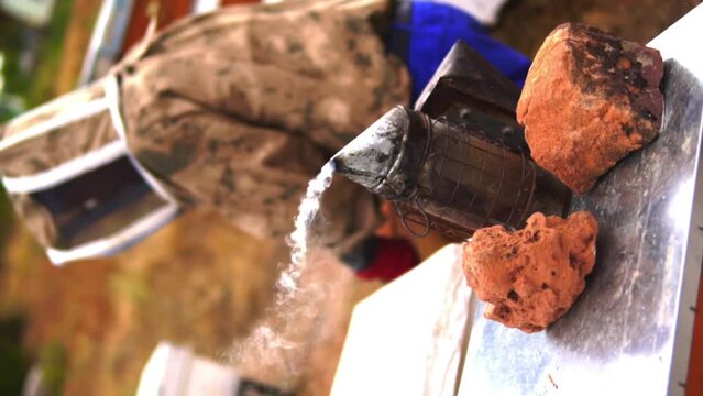 beekeeping and honeybee and agriculture and honey and honeyhive