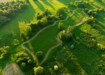Forest with trees, view from the top. Green trees in the forest with green grass and green field, aerial view. Wildlife in green background, drone view. Forest background. Ecosystem, Environment, co2.