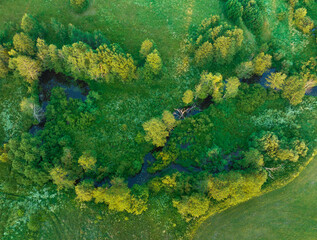 Forest with trees, view from the top. Green trees in the forest with green grass and green field, aerial view. Wildlife in green background, drone view. Forest background. Ecosystem, Environment, co2.
