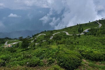 Fototapeta na wymiar view of the Beautiful Landscape tea plantation in the hills of Darjiling, India, Nature background.