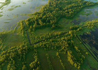 Marshland and Swamp landscape. Peatland in wet. Wild mire. East European swamps and Peat Bogs....