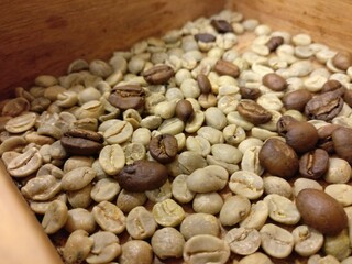 coffee beans in different colors white and brown
