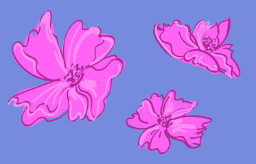 Pink flowers on the grey background, pattern elements hand draw