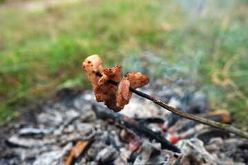 Grilled meat and lard on a skewer at the stake. Wildlife Cooking. Smoky flavor that grilling gives...