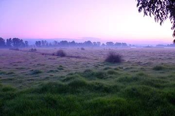 Rural landscape at dawn, Circeo National Park, Italy