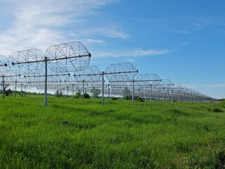 Radio antennas on the field. Scientific research equipment. Blue sky and green grass