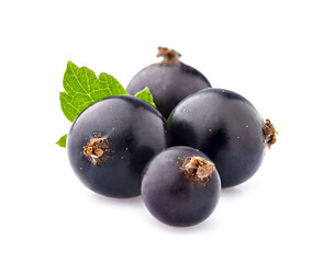 Black currant berries on White Background