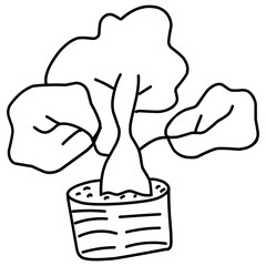bonsai tree in a flowerpot line art