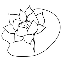 Lotus flower line art 