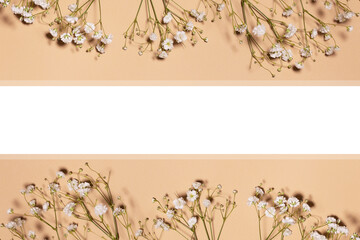 gypsophila flowers on a beige background. wallpaper. place for text