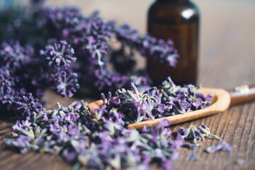 Fototapeta premium Bottle with aroma oil and lavender flowers on blue background