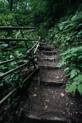 photography landscape mountain trail for tourists