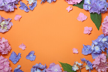 pink, blue hydrangea flowers on an orange background. wallpaper. opening. copy space