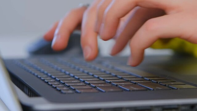 Programmer coding on laptop keyboard. IT specialist person typing text on modern notebook pc. Freelance writer woman writing a book on computer