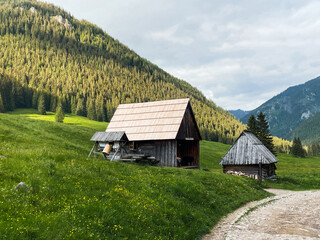Fototapeta na wymiar Shepherd's hut in mountain valley in Tatras mountains in Poland