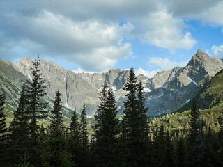 Obraz premium Mountain range landscape with peaks and green forest